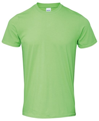 Show details for Gildan Softstyle T-Shirts