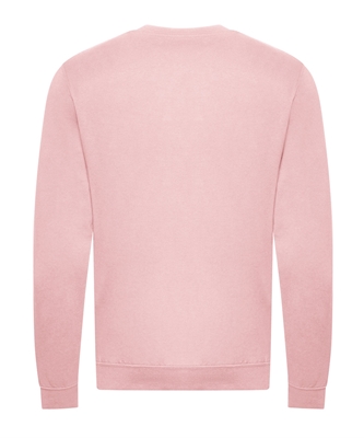 Show details for AWDis Organic Sweatshirts ♻️