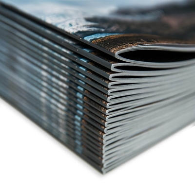 Show details for Brochures