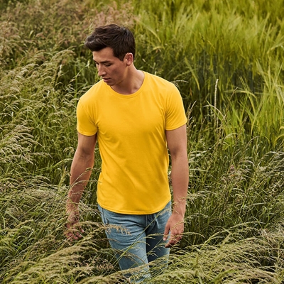 Show details for Fruit of the Loom Iconic 150 T